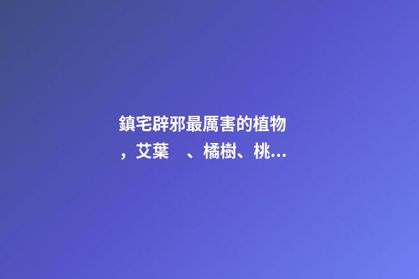 鎮宅辟邪最厲害的植物，艾葉、橘樹、桃樹等